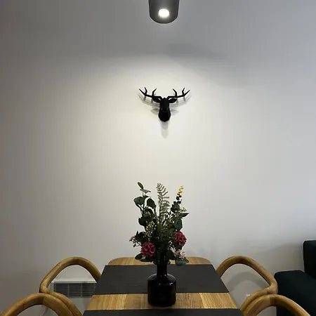 Tornik Relax&spa 2 Apartment Zlatibor